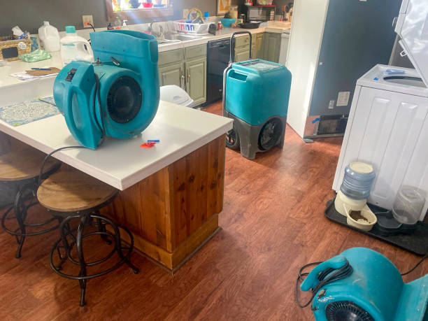 Best 24/7 water damage repair  in Mendota Heights, MN
