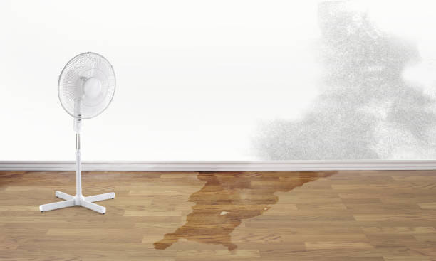 Best Water damage restoration specialists  in Mendota Heights, MN